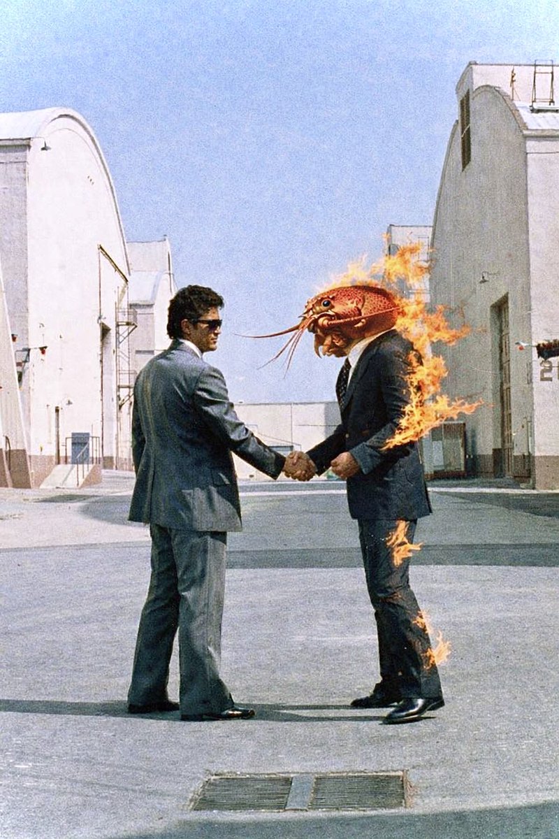 Sato 🦞 tweet media