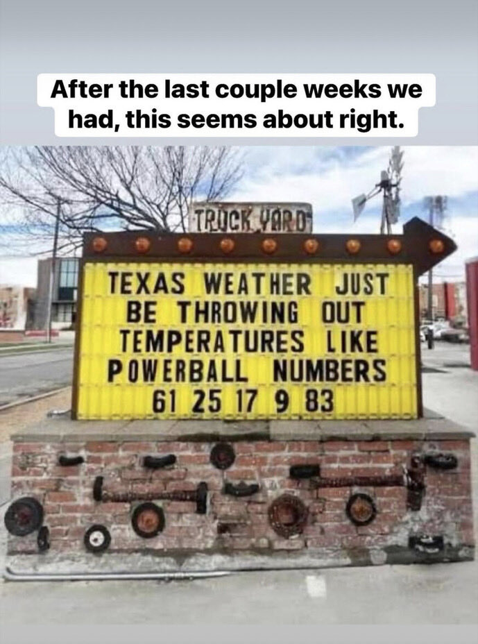 DD Young tweet media