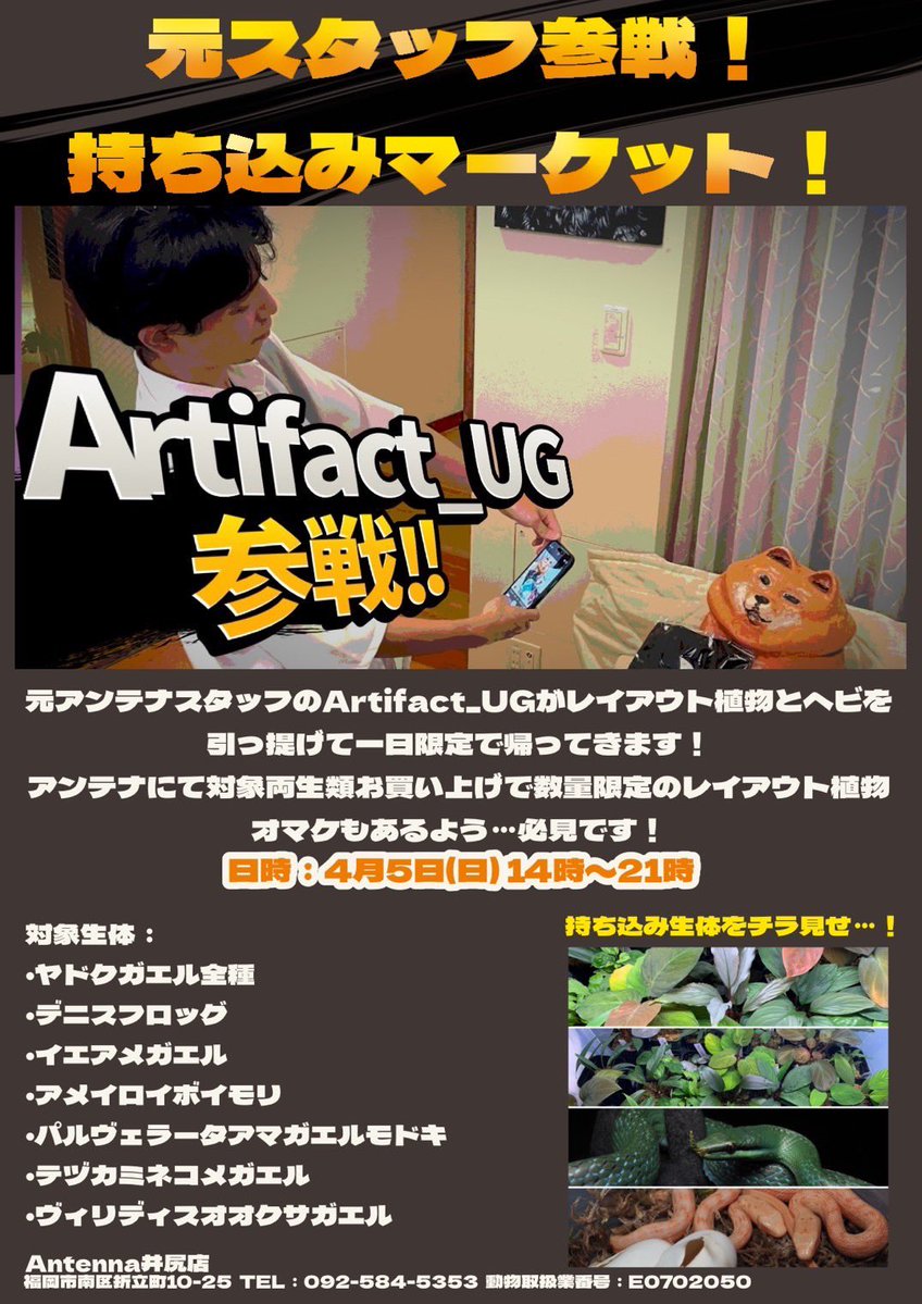 爬虫類ショップアンテナ 【井尻店】 tweet media