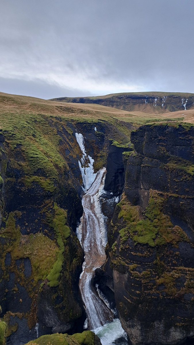 liserpentina al-gaib 🗡🏜 tweet media