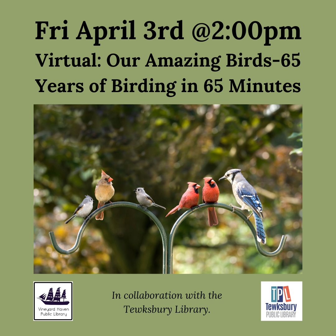 Vineyard Haven Public Library tweet media