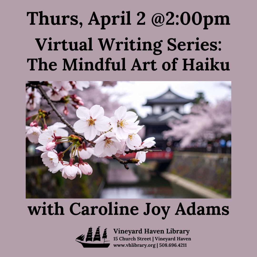 Vineyard Haven Public Library tweet media