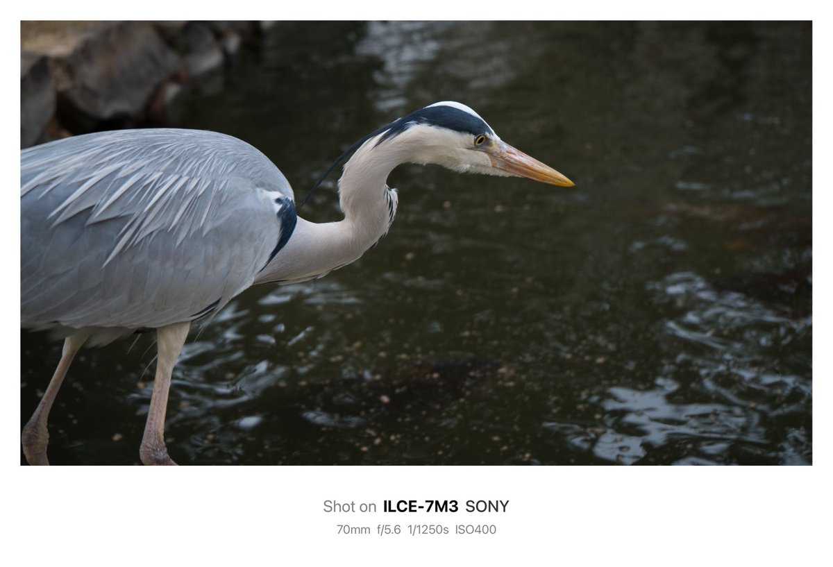 𝙆𝙄𝙍𝙄 (@suzyiesi2) on Twitter photo 