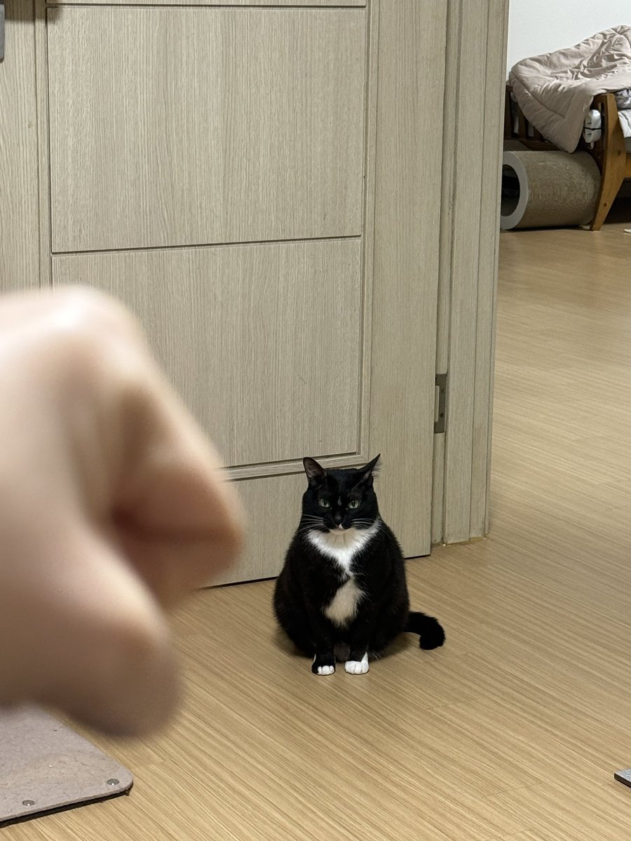 MEOK MUL 먹물 tweet media