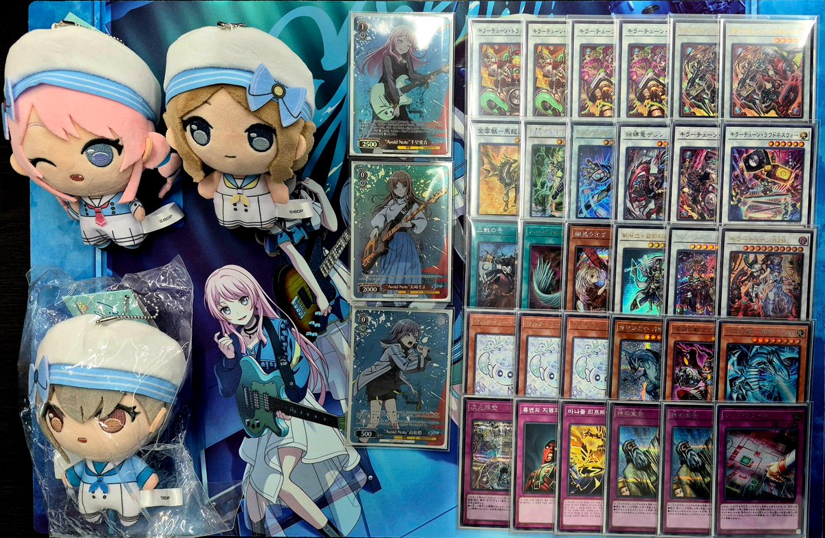 김동규 tweet media