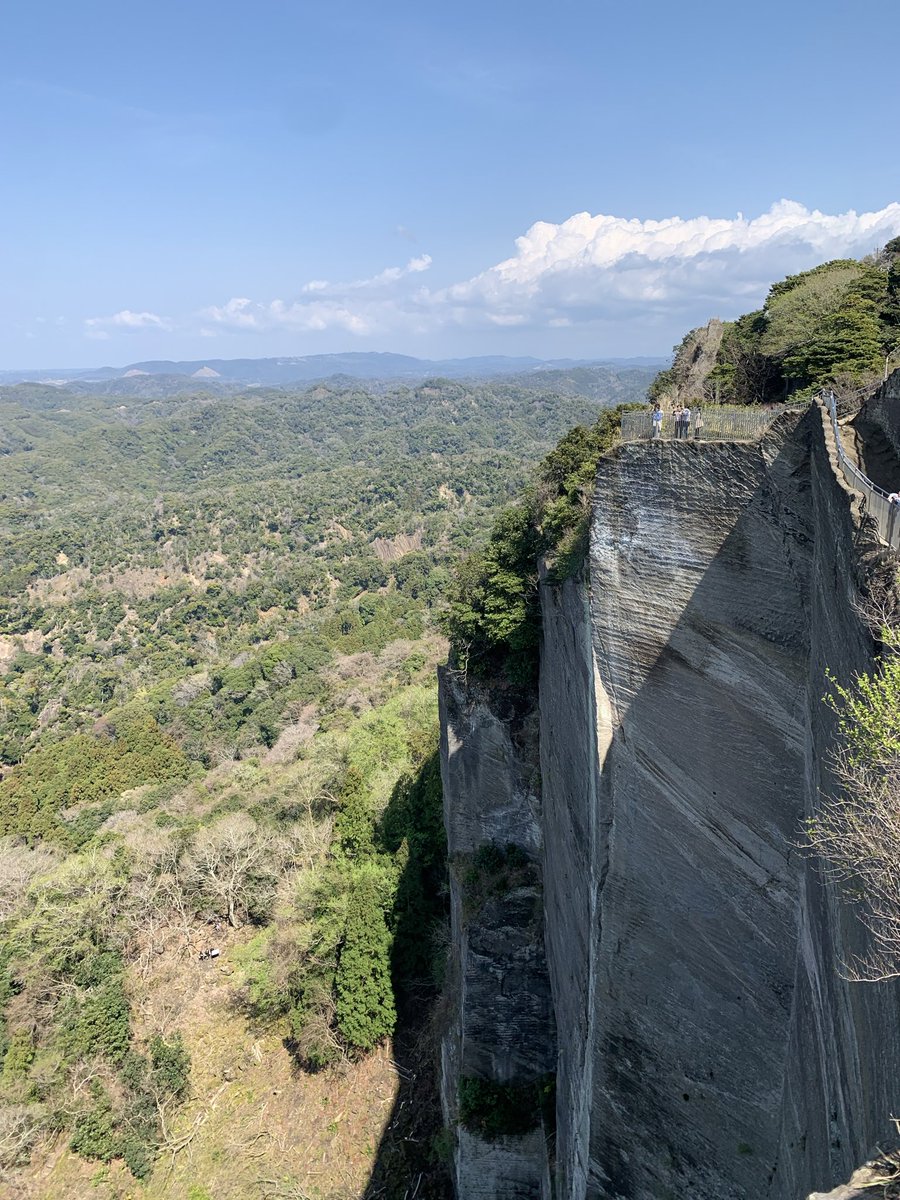 すぱにゃん tweet media