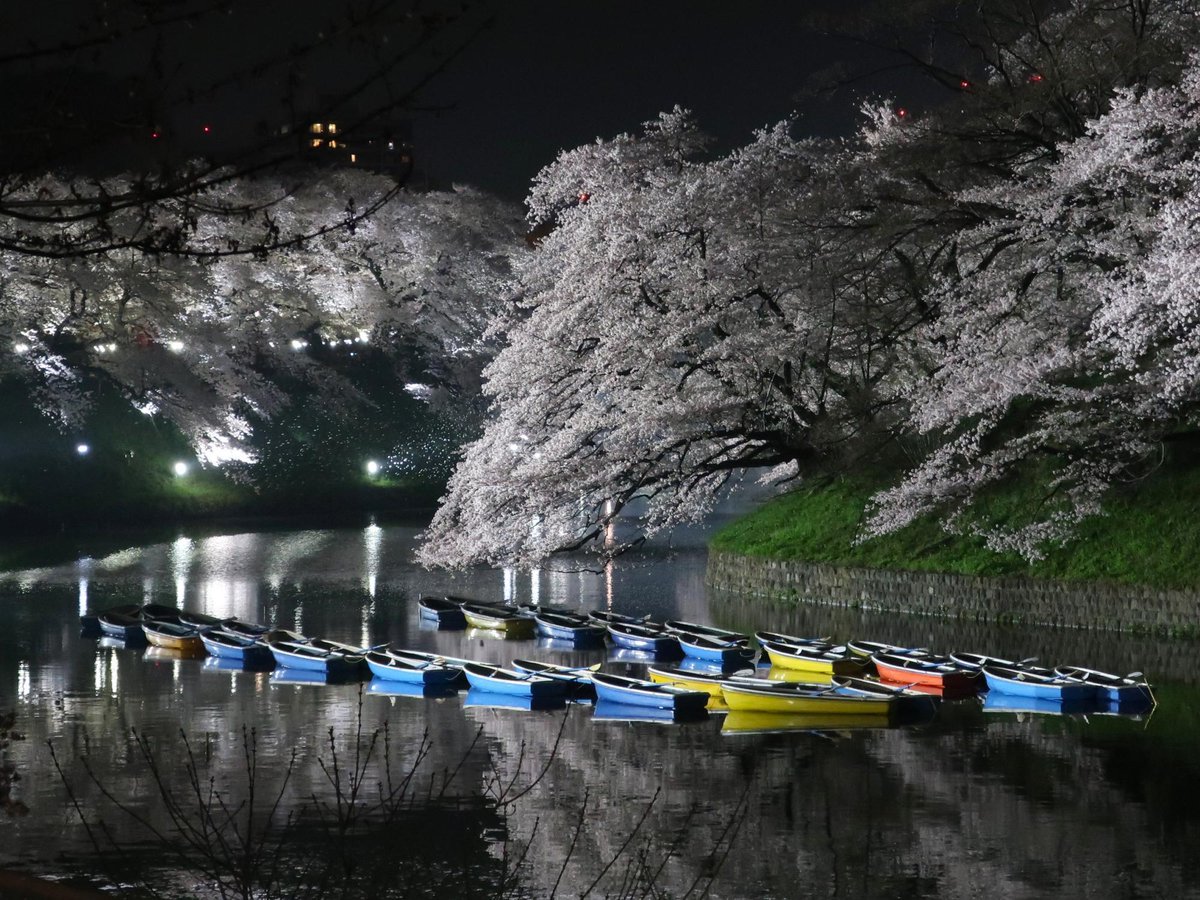 ブラタモリ・地理旅※番組非公式 tweet media