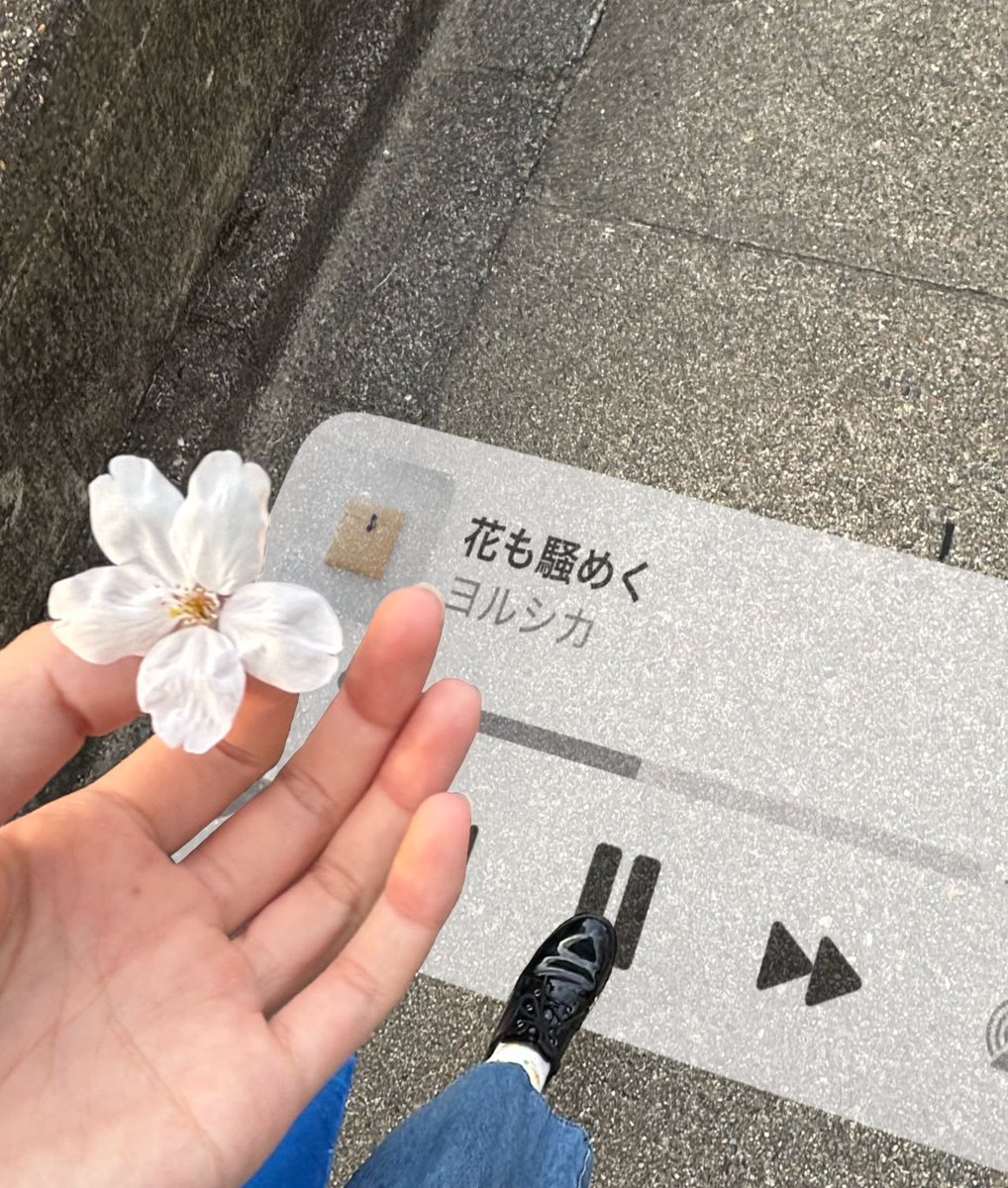 さく tweet media