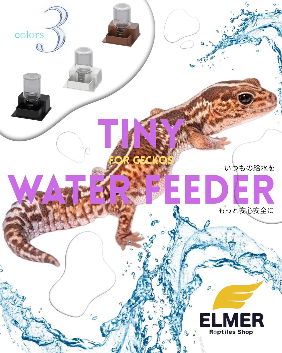 ELMER l エルマー@4/26(日) JH静岡 tweet media