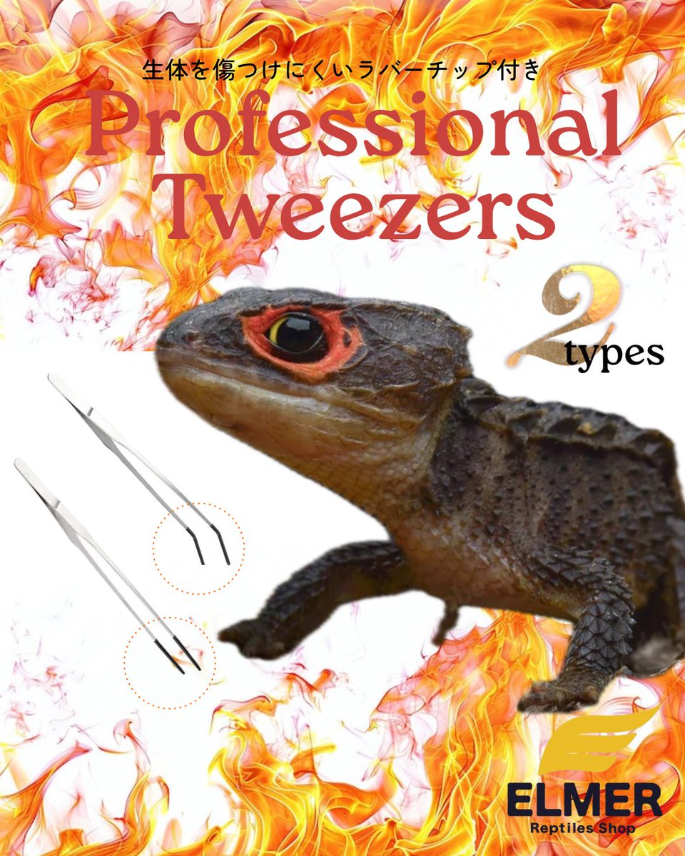 ELMER l エルマー@4/26(日) JH静岡 tweet media