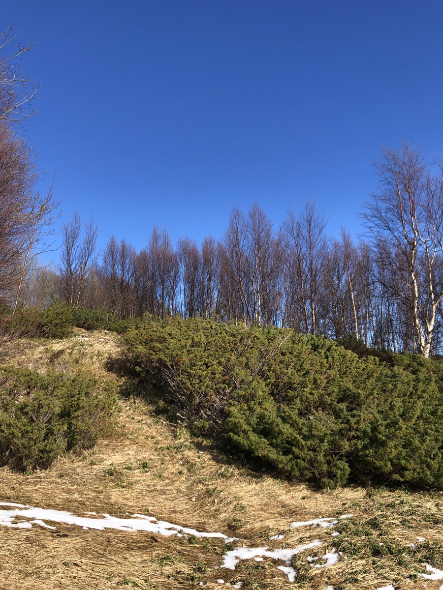 Simon Wood tweet media