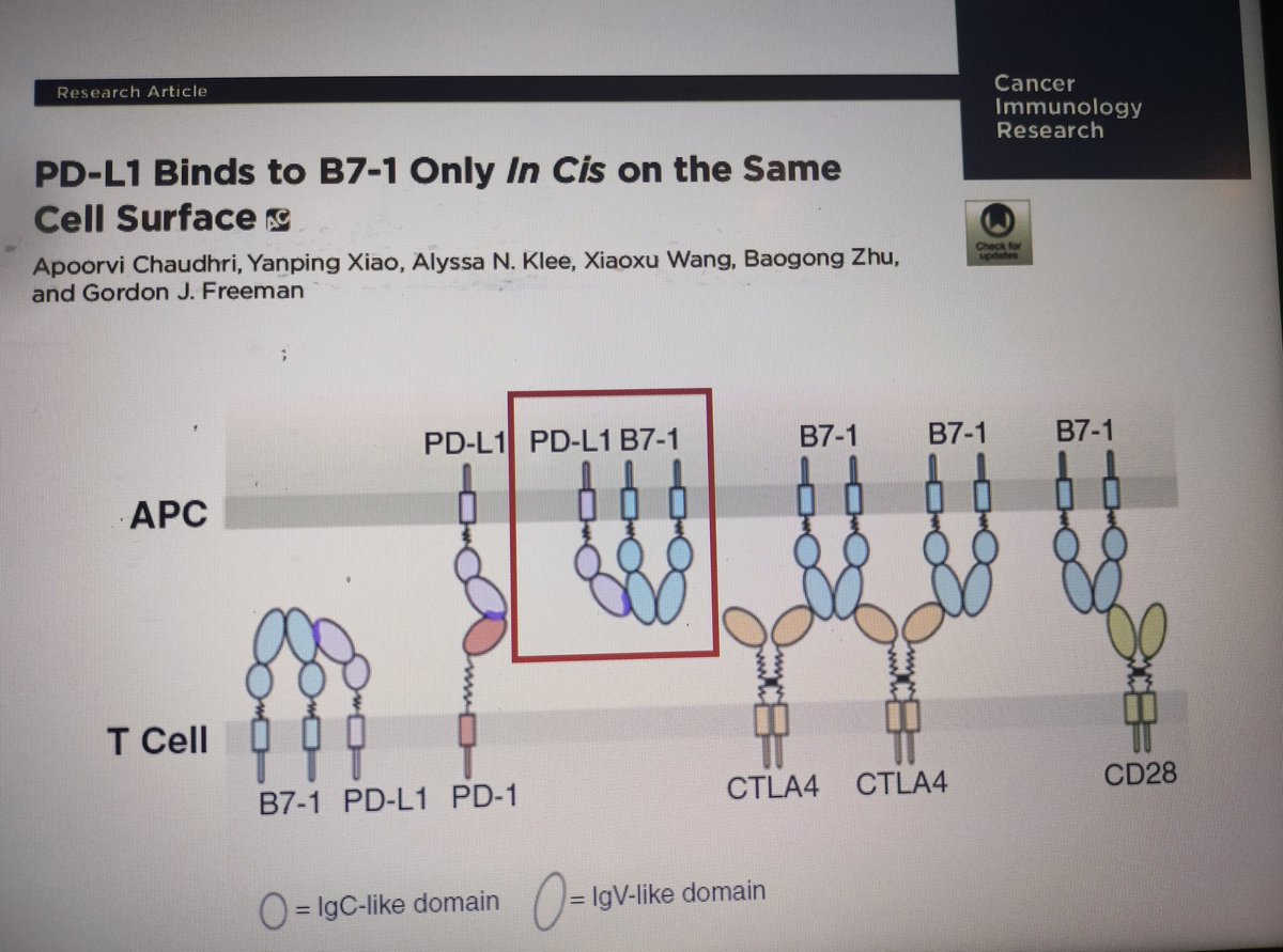 Roberto Ferrara tweet media