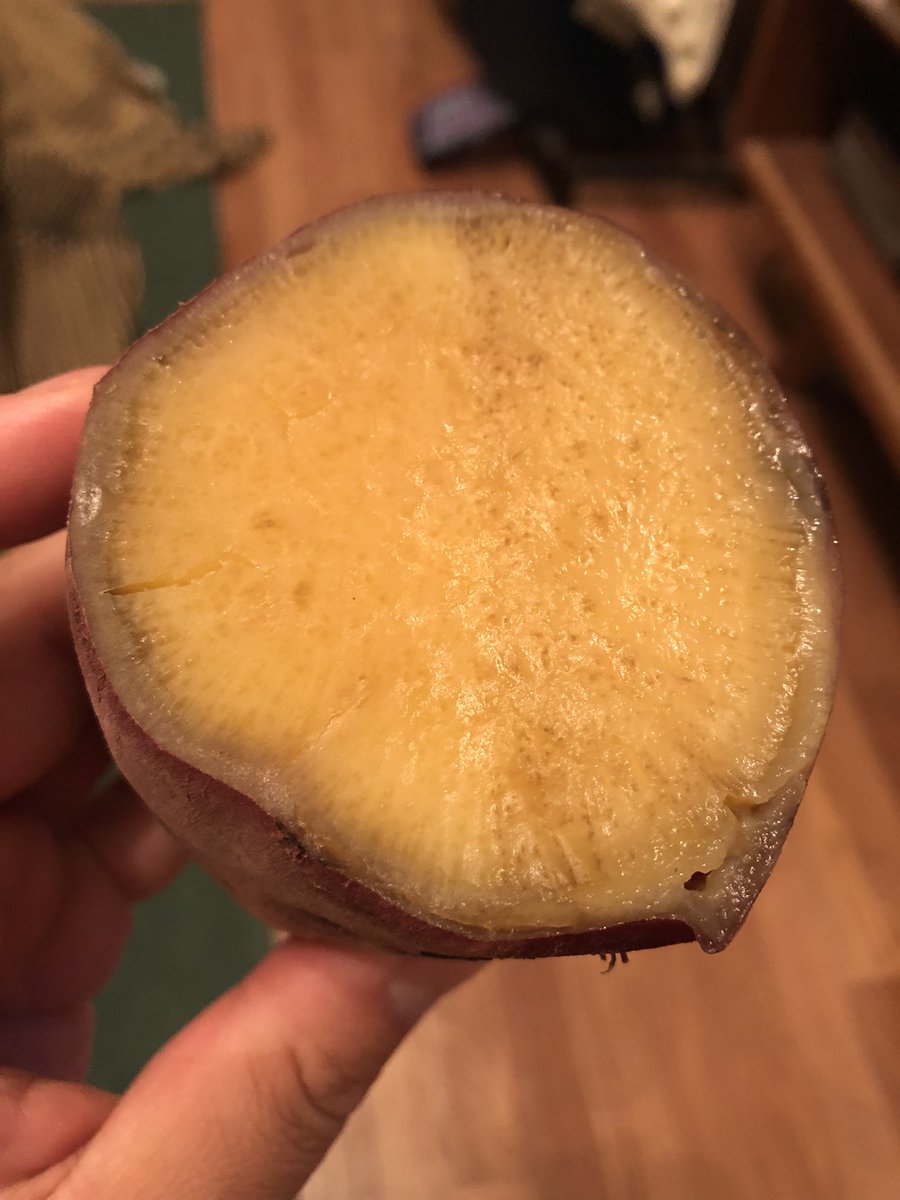 山本 晃 (@akiraelephant) on Twitter photo 