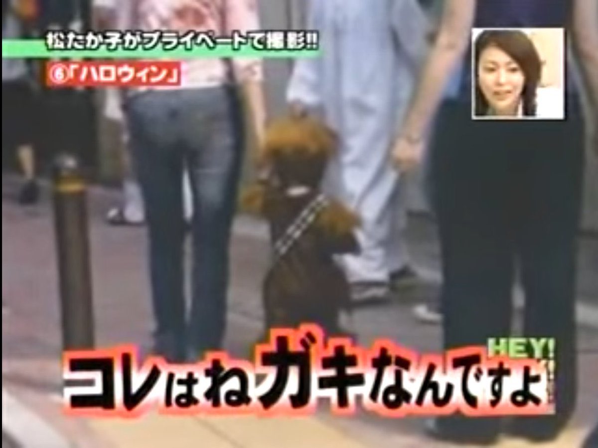 ツイッターくん tweet media