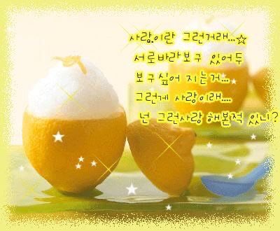 앵그리버드 영숙 tweet media