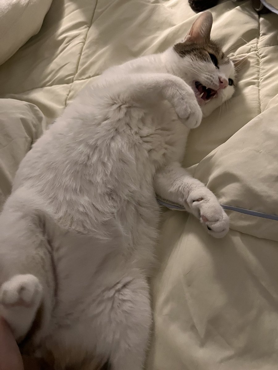 수목이 tweet media