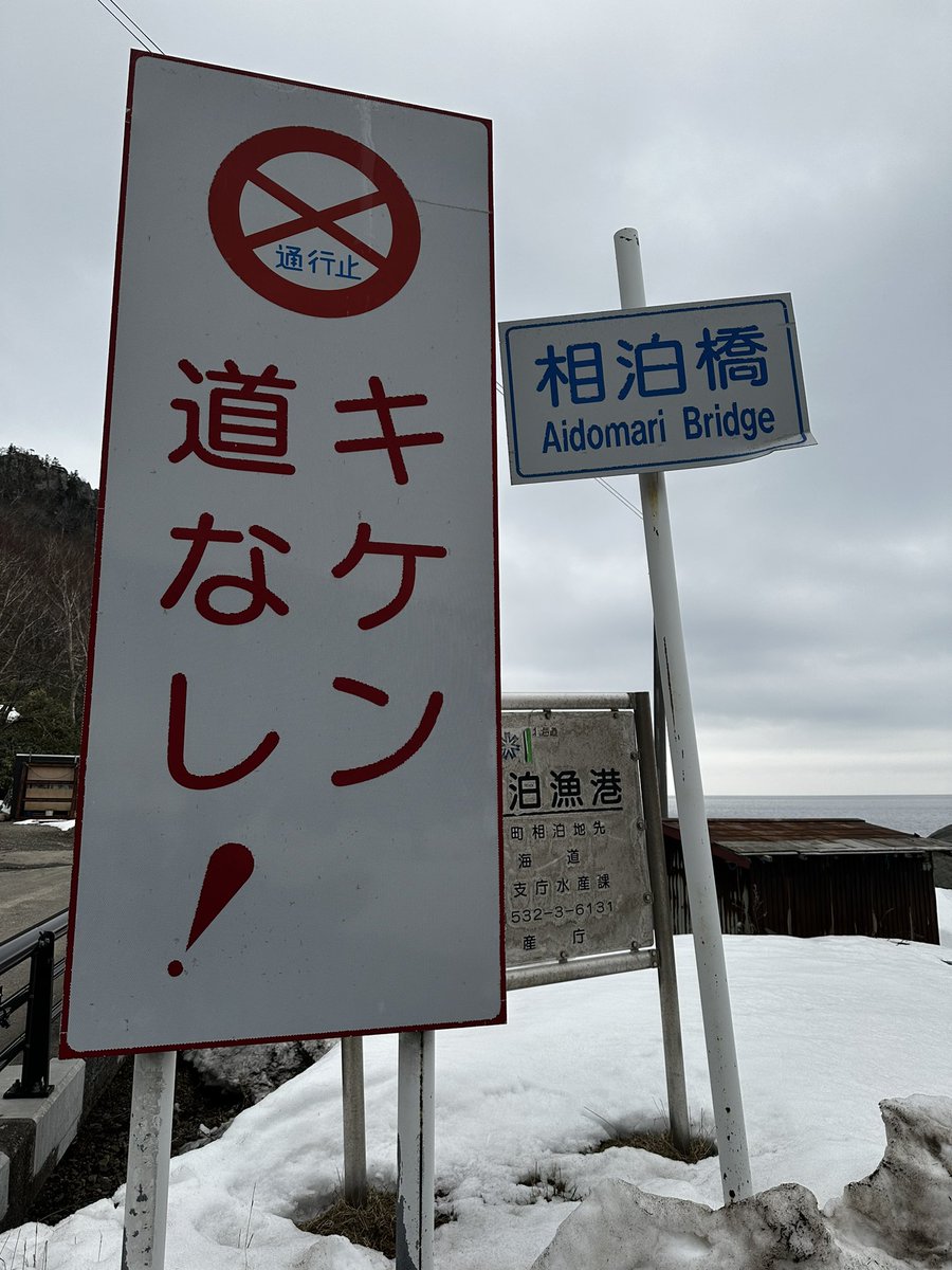 コケ太郎 tweet media