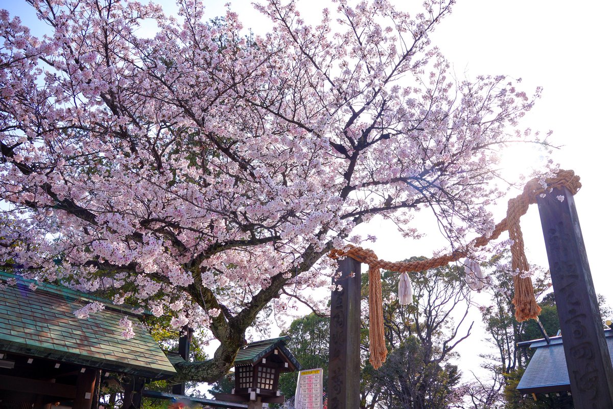 今度こそは…とお参り🙏🙏