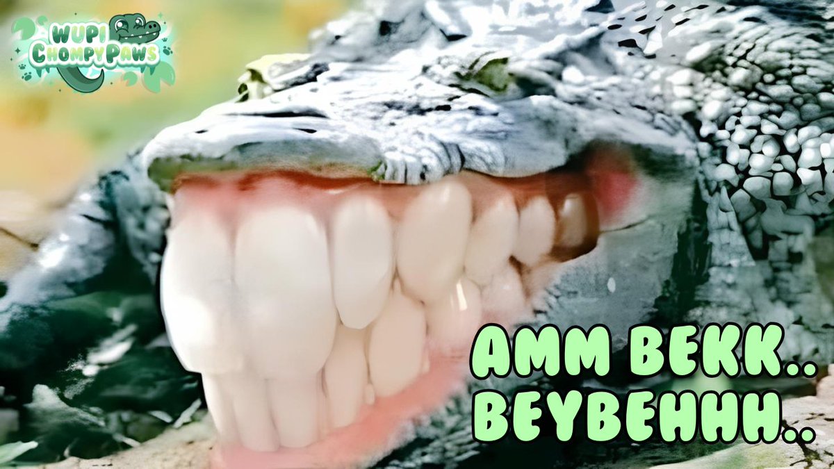 Wupi ChompyPaws tweet media