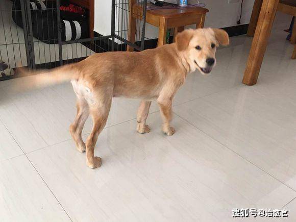 Gianna Rosati tweet media