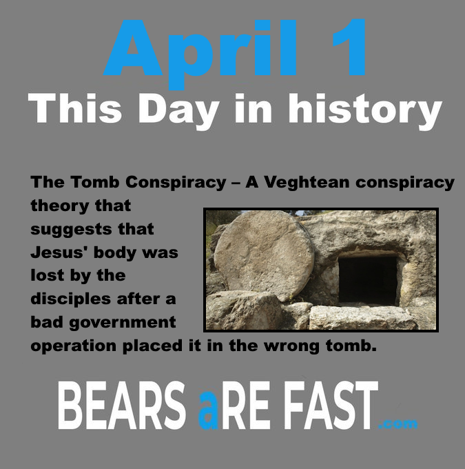 Bears Are Fast tweet media