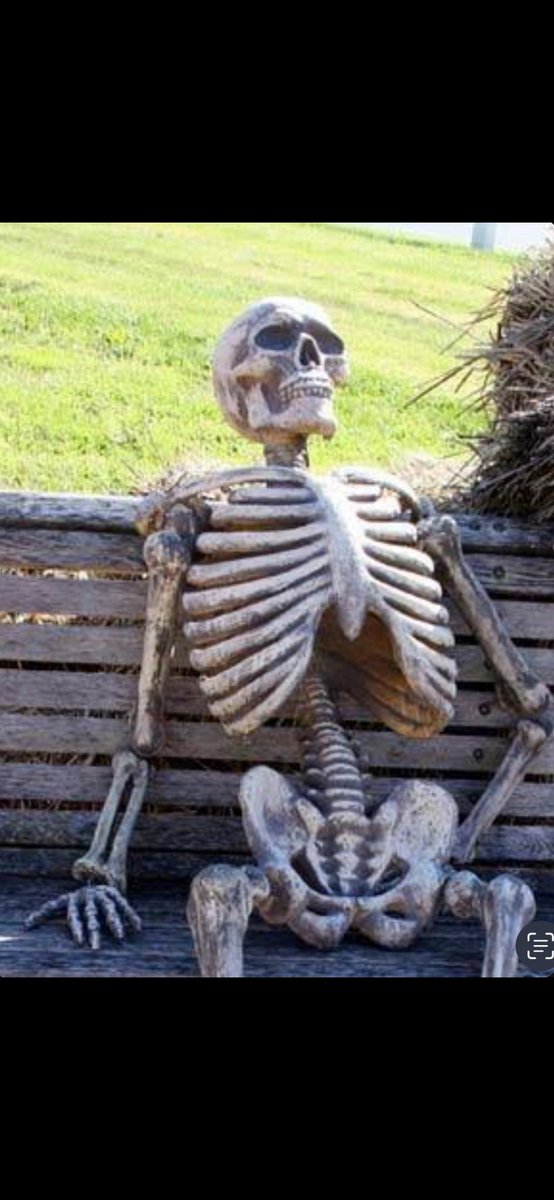 Mr. cryptoboy Whale 🐋 tweet media