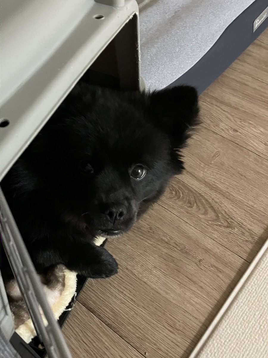 ๋ง/์์ฌ๐ tweet media