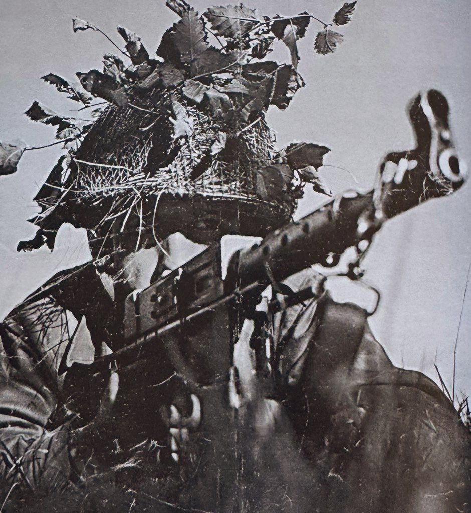 Voltigeur tweet media