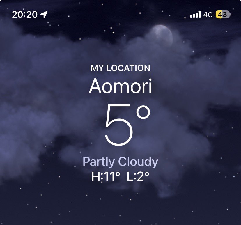 谷口ジョイ tweet media