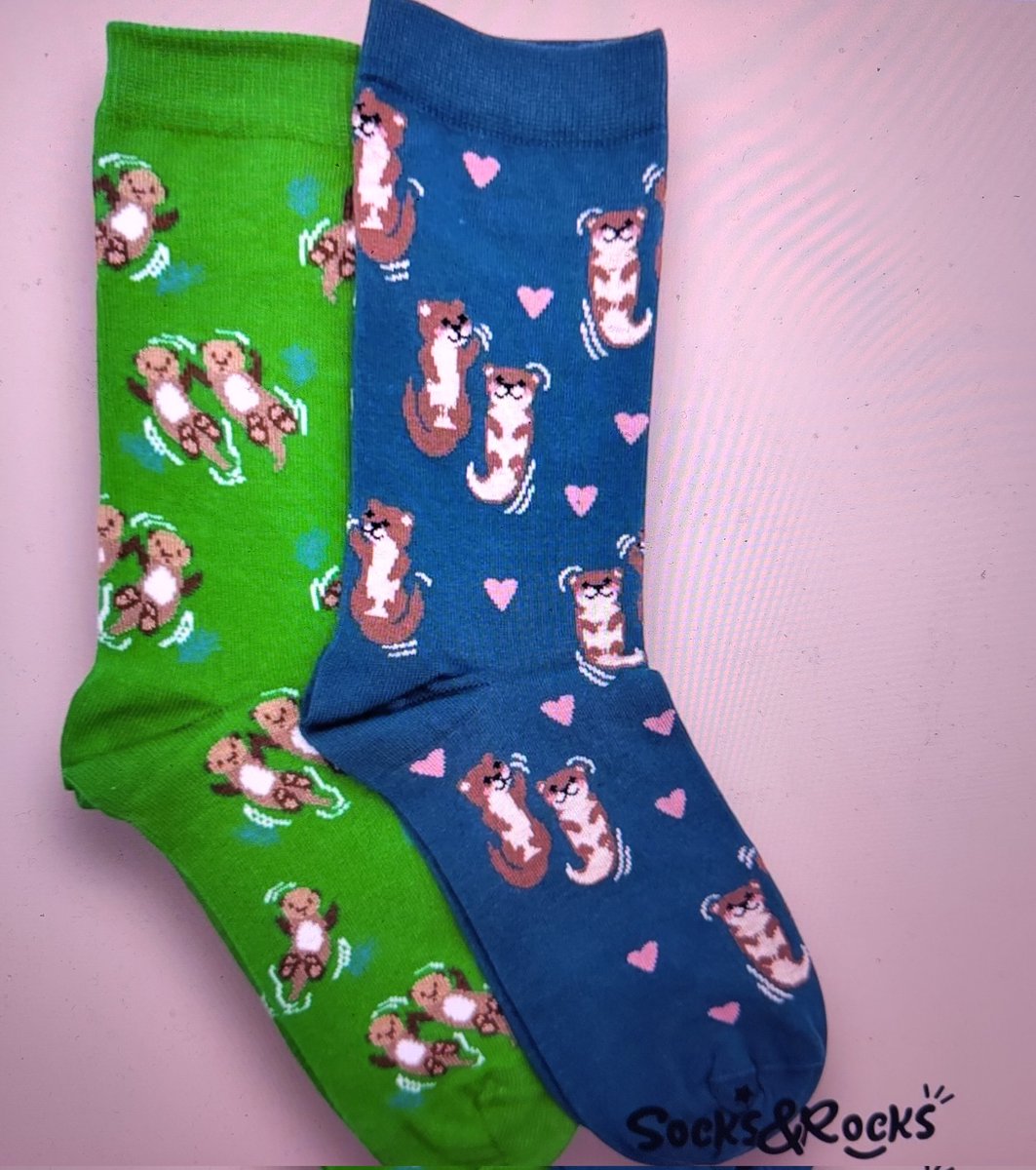 Birb of Prey 🦜 🇺🇦🇪🇺💚 tweet media