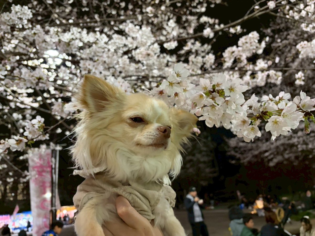 うぇる tweet media