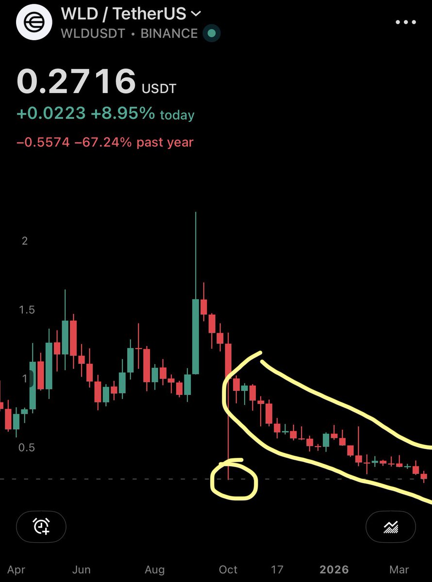 Sholi - real human, not an AI slop bot! tweet media