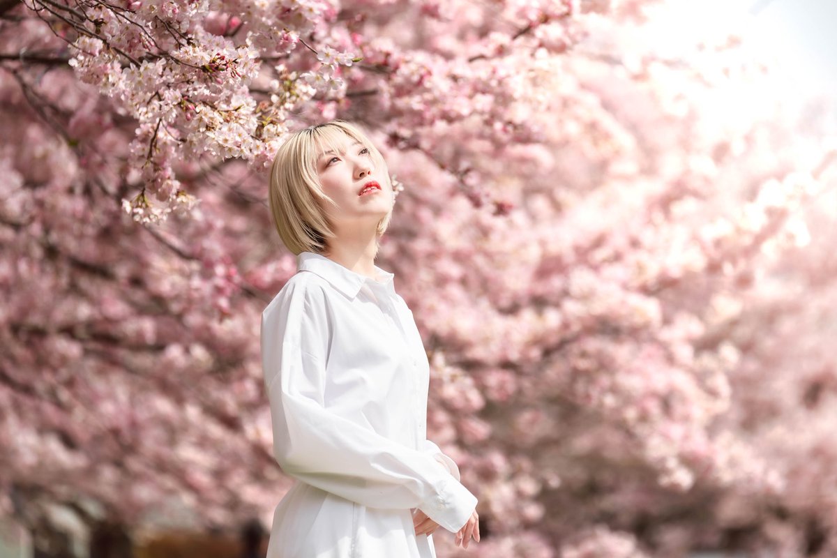 森崎舞華🌹5/31昼GTLIVETOKYOワンマン tweet media