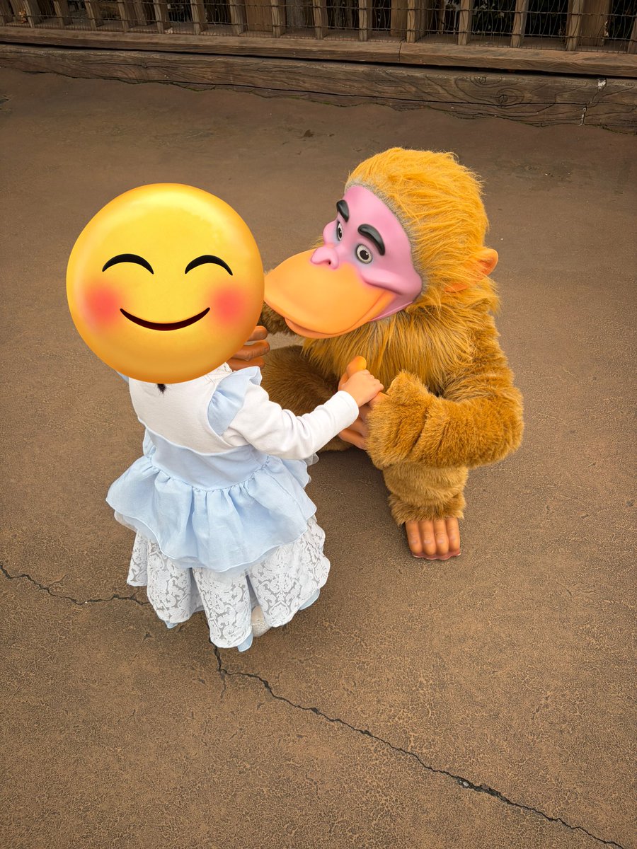 らっこ🦦 tweet media