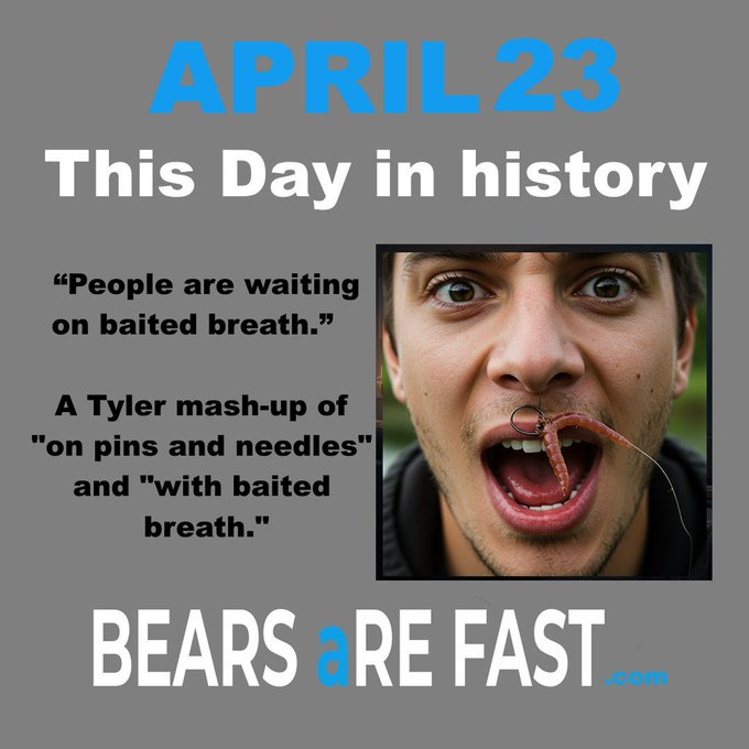 Bears Are Fast tweet media