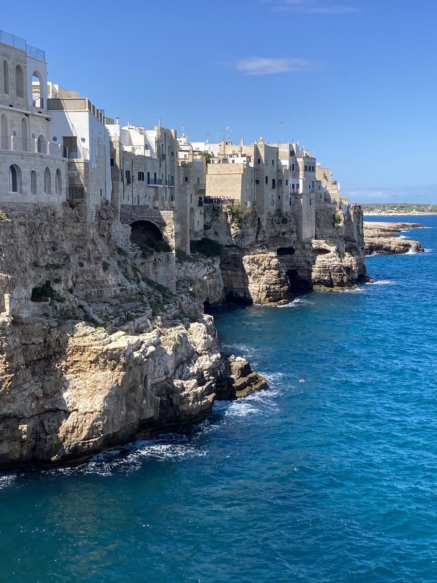 Rosa Rosam tweet media