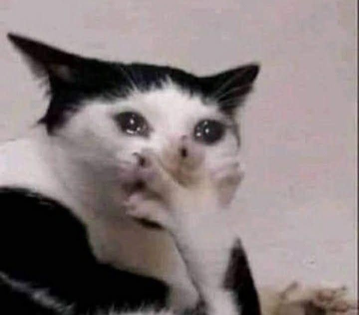 𝓟𝓮𝓪𝓬𝓱𝔂 ⋆。°✩ tweet media