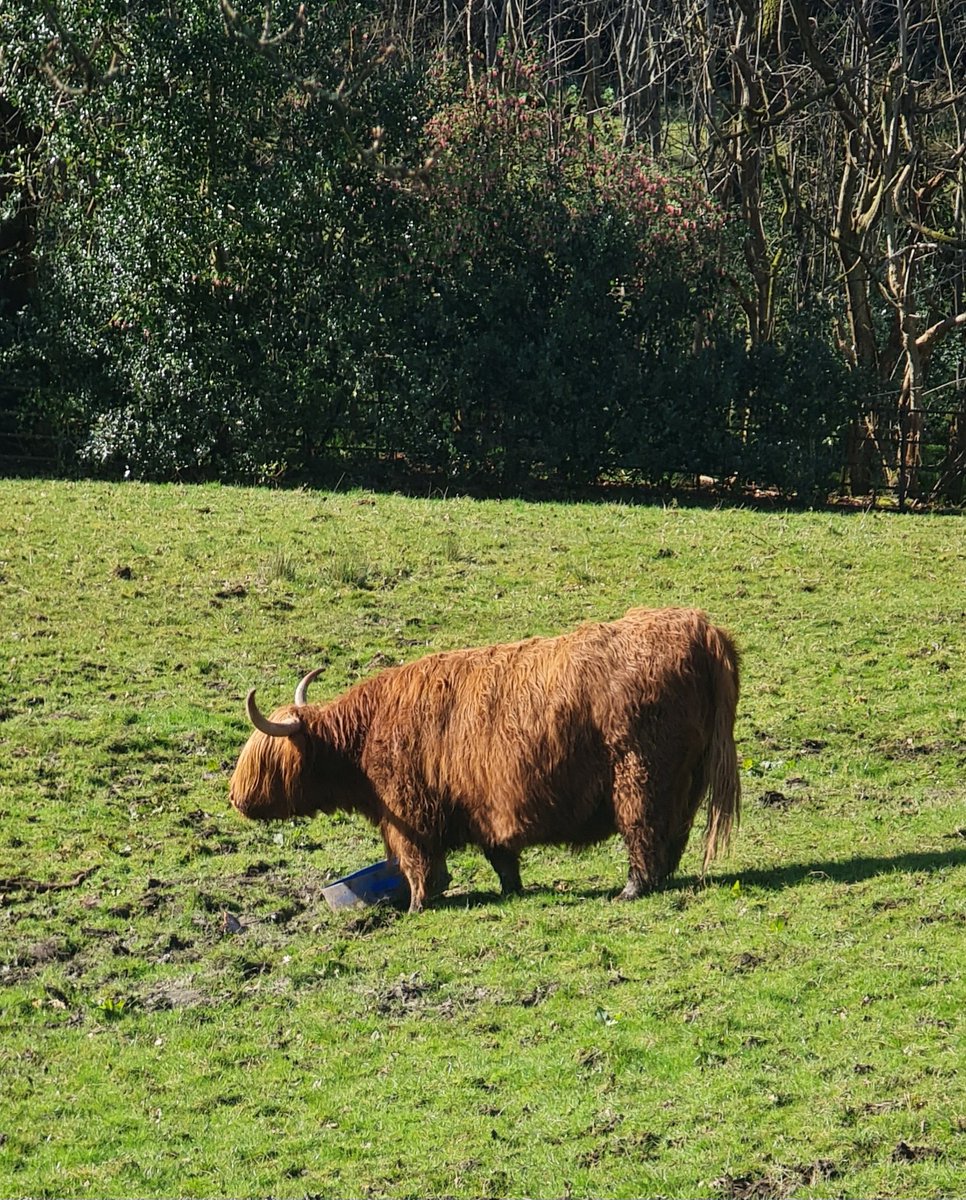 Andrew Montgomery tweet media