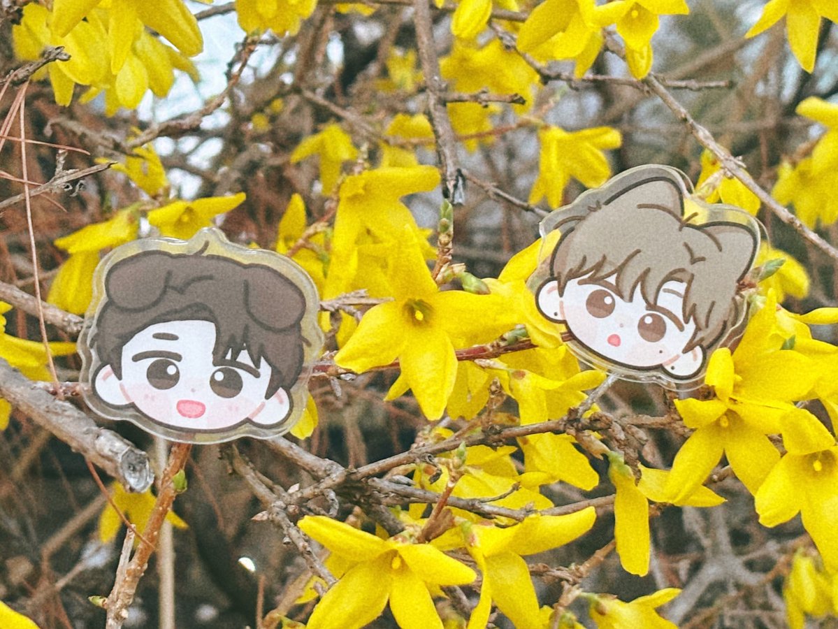 ₊ʚ푸ᩚɞ₊ tweet media