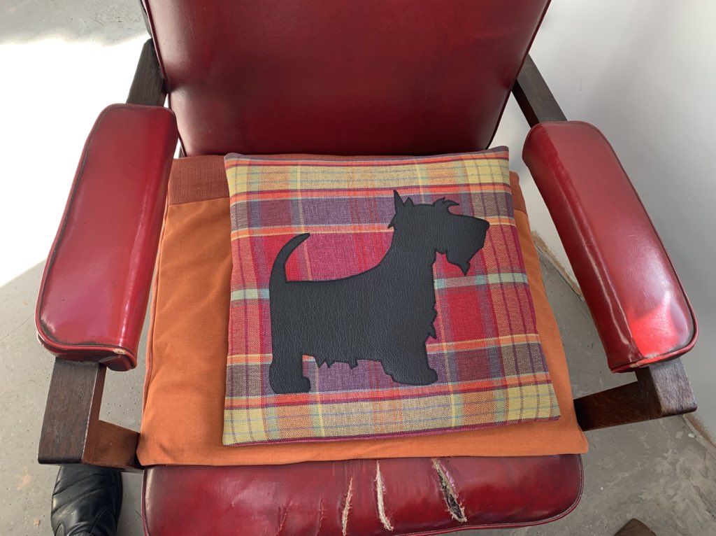 peter stone 🏴 tweet media