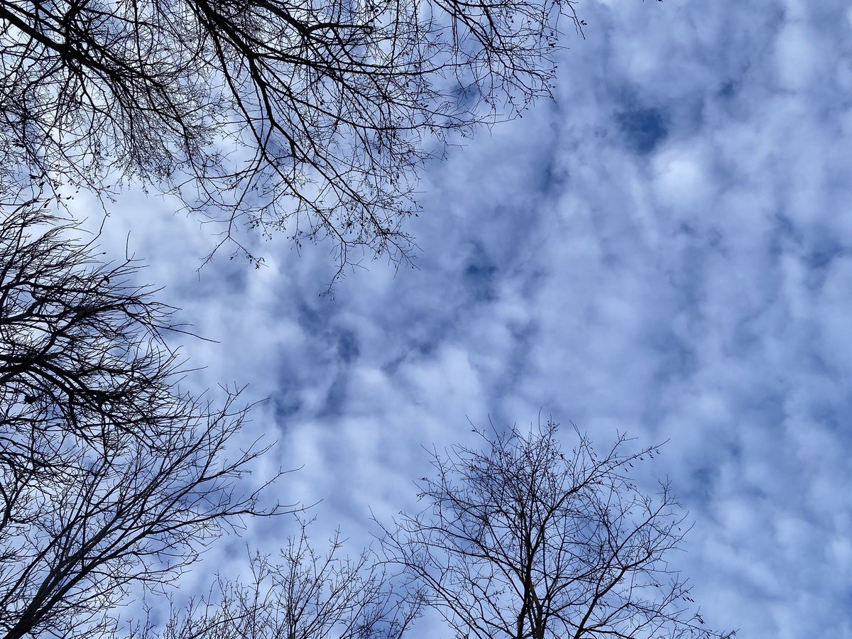 pondaroski's tweet image. 20260318 22°F WC Having A Wednesday Night Bonfire In Memoriam Of The Twenty Second Year Of My Mom’s Passing During These Un-Normal Times,  Motel Z, Jacksonville, NY. Z.
#JoeZiolkowski
#pondaroski
#mom
#reneeziolkowski
#bonfire
#trajectoryportfolio
#unnormal
#memoriam
#blazin