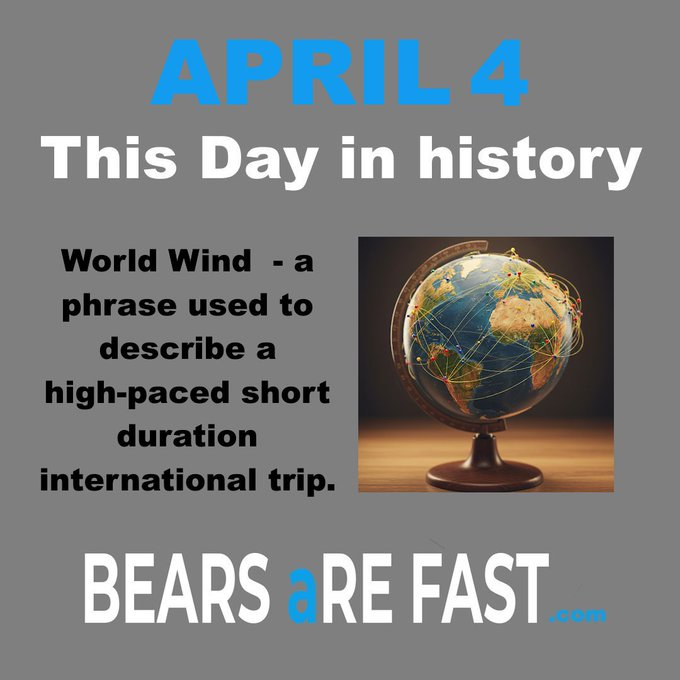 Bears Are Fast tweet media