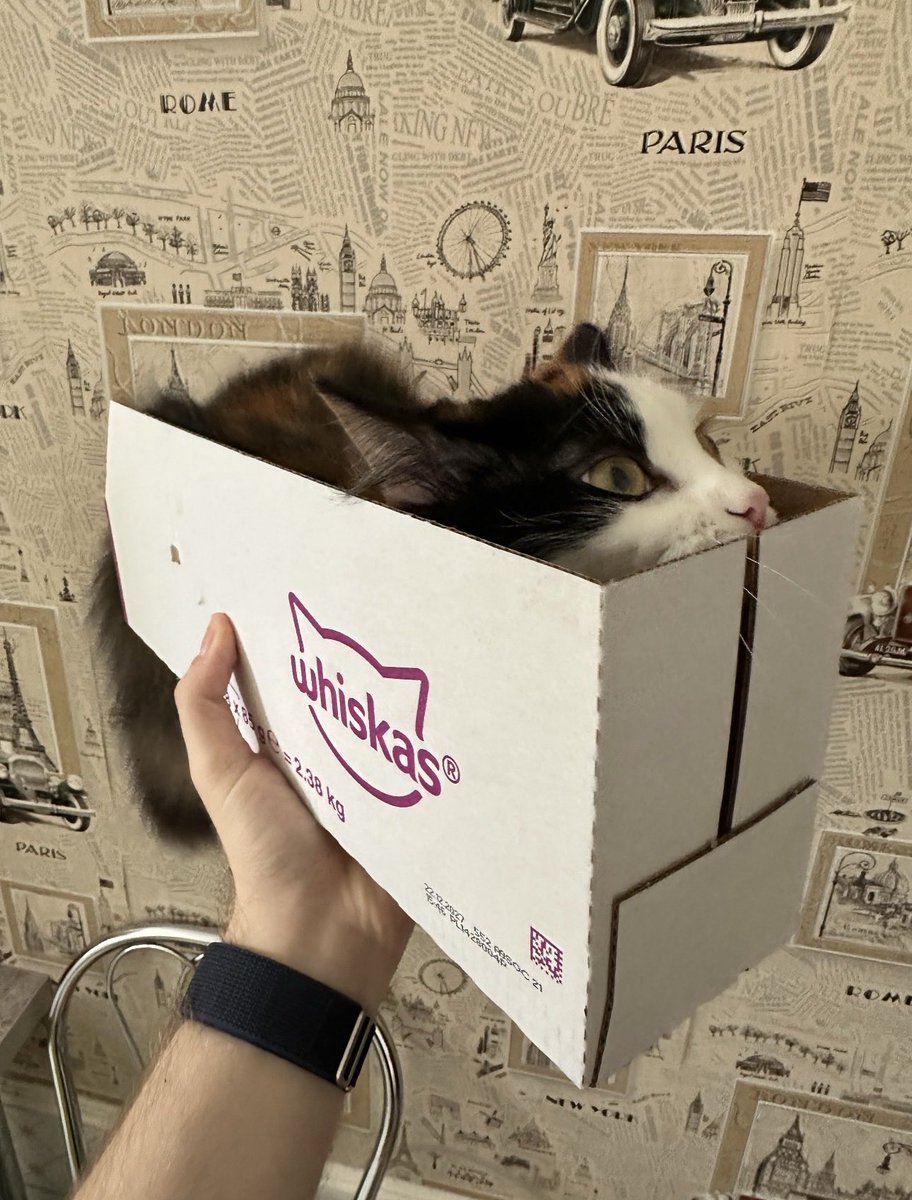 ILAN-IB13 tweet media