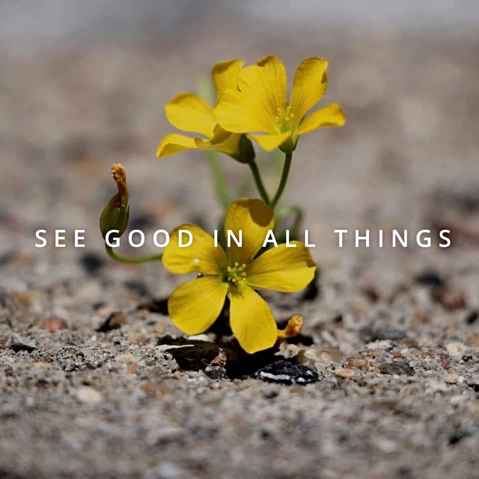 joanie_tweet's tweet image. Good Saturday Morning! 
Try to See The Good in Things...
Even If, Sometimes, You Have to Look Really Hard! 😊❤️🤗
#Look #GoodThings 
#SaturdayVibe #SaturdayMotivation