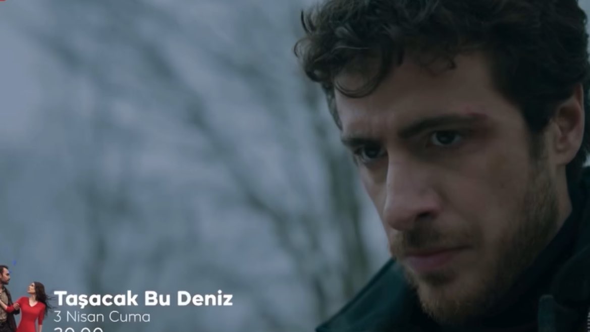 dazai furtuna tweet media