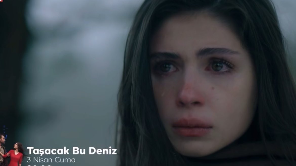 dazai furtuna tweet media