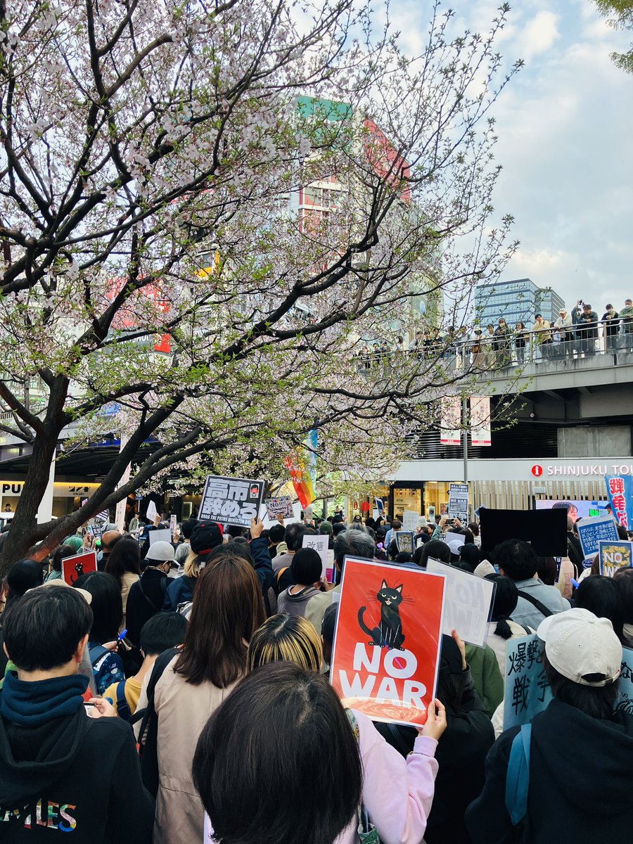 mochizuki。 tweet media