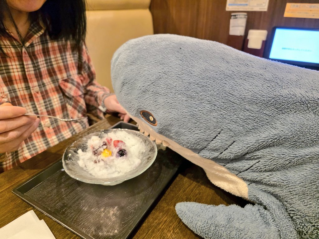 IKEAのサメ用アカ@ワタザメ tweet media