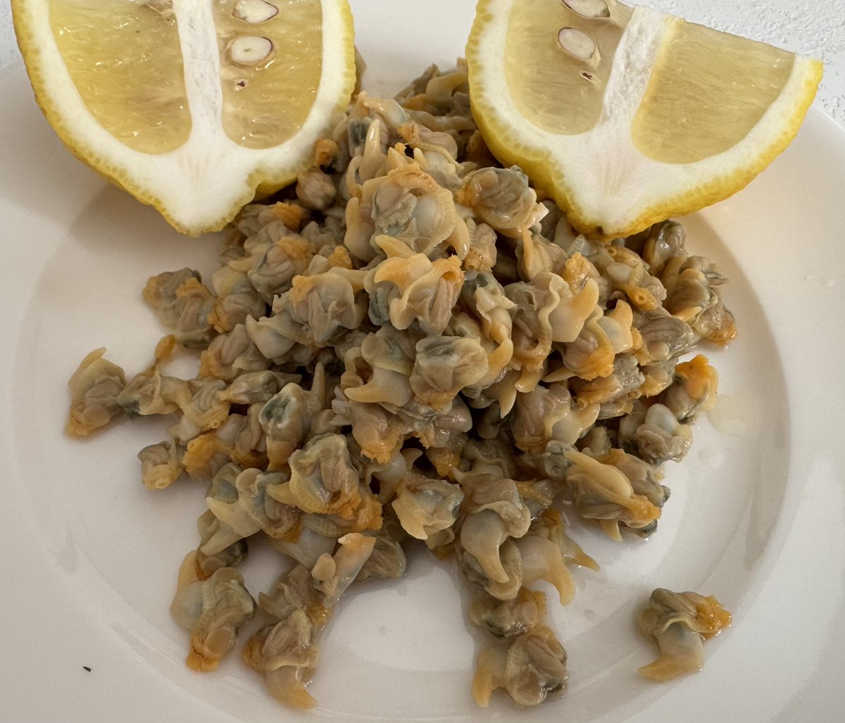 pulpo404 tweet media