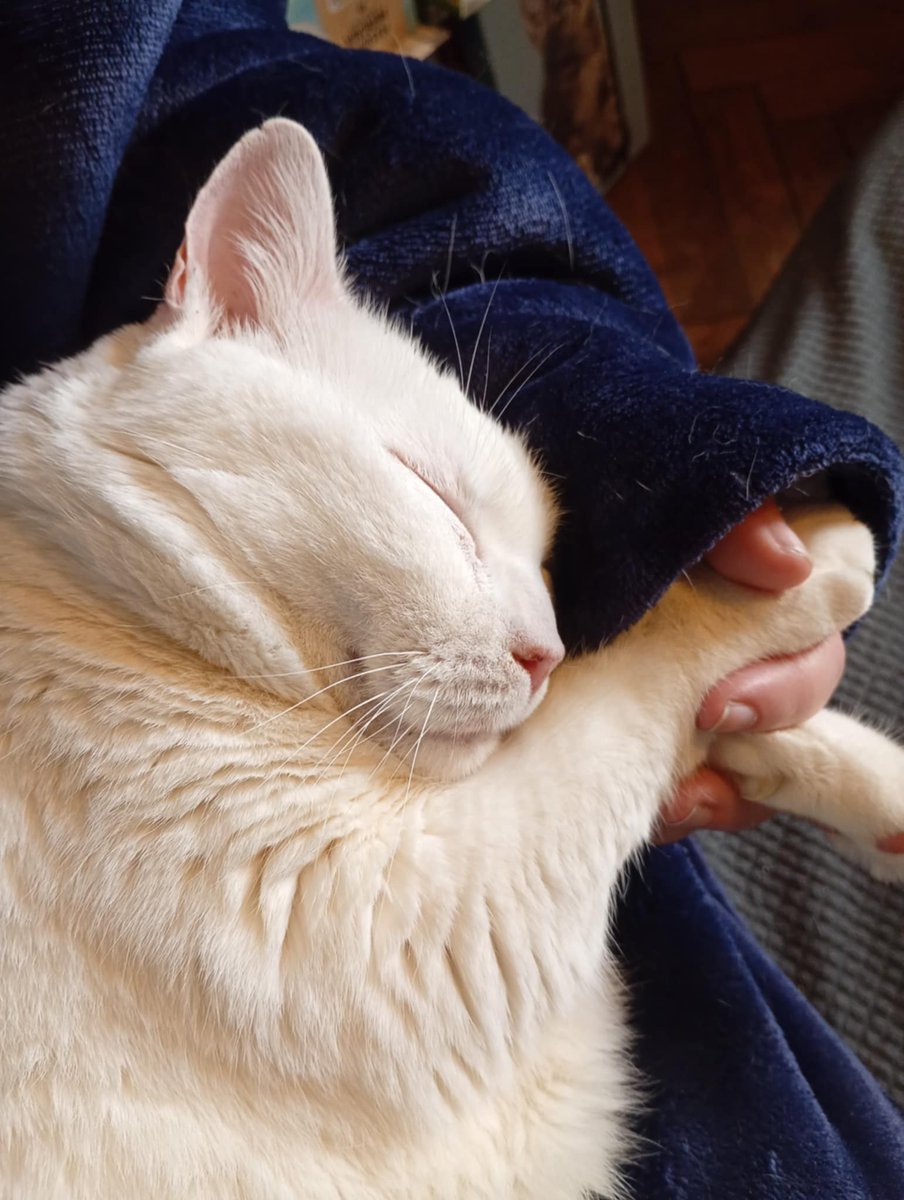 i took him there he had calm me after i get yell at about thing concerning grandma health she had bleed again and again